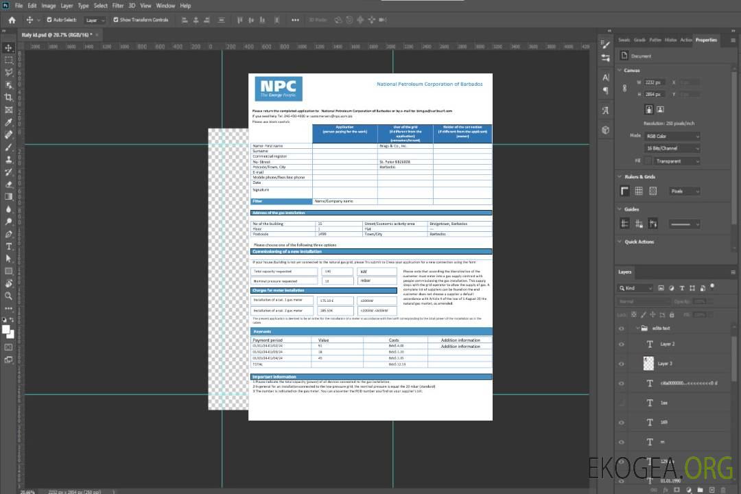 Modèle de facture de services publics de gaz de la Barbados National Petroleum Corporation of Barbados au format Word et PDF template